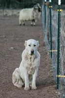 processed/0cead5de-3ba2-4245-b4ab-84300f790866/listing/1454e5b3-1322-46b0-bb79-d8427e2947fa/1c321d89-fdd4-4197-96cf-69656e87201b