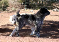 processed/0cead5de-3ba2-4245-b4ab-84300f790866/listing/1454e5b3-1322-46b0-bb79-d8427e2947fa/8a5cfc8c-ddf3-46b4-ad89-231dfa44c0b6