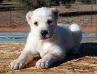 processed/0cead5de-3ba2-4245-b4ab-84300f790866/listing/1454e5b3-1322-46b0-bb79-d8427e2947fa/a9cb5d4f-9dfb-4789-89ad-ba4e21c9e7cc