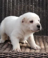 processed/0cead5de-3ba2-4245-b4ab-84300f790866/listing/1454e5b3-1322-46b0-bb79-d8427e2947fa/ad75dbc7-1ea5-49b7-b2cd-18da2d69d74e