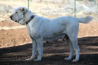 processed/0cead5de-3ba2-4245-b4ab-84300f790866/listing/1454e5b3-1322-46b0-bb79-d8427e2947fa/cabfe42d-3e16-4ff6-91a6-6a5b935c5268