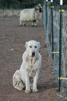 processed/0cead5de-3ba2-4245-b4ab-84300f790866/listing/39559a70-d5b3-4253-88c2-59aafe01102e/0cc28606-a3b7-4cd1-bb48-24339ce20aa0