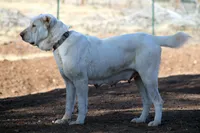 processed/0cead5de-3ba2-4245-b4ab-84300f790866/listing/39559a70-d5b3-4253-88c2-59aafe01102e/32472ee2-5ca2-4e80-889d-f8fc47a9fb00