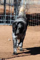 processed/0cead5de-3ba2-4245-b4ab-84300f790866/listing/39559a70-d5b3-4253-88c2-59aafe01102e/4374fff7-1d48-46af-8132-de1adff1a8d6