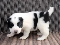 processed/0cead5de-3ba2-4245-b4ab-84300f790866/listing/39559a70-d5b3-4253-88c2-59aafe01102e/7f7bf891-5979-465f-865b-bfb4cfabea83