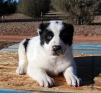 processed/0cead5de-3ba2-4245-b4ab-84300f790866/listing/39559a70-d5b3-4253-88c2-59aafe01102e/d1be6628-3805-479a-b0eb-64e48daedf26