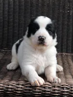 processed/0cead5de-3ba2-4245-b4ab-84300f790866/listing/39559a70-d5b3-4253-88c2-59aafe01102e/fb60a796-aa06-4ae6-a250-0118c65ac9ed