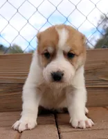 processed/0cead5de-3ba2-4245-b4ab-84300f790866/listing/45eef6b9-8a06-4640-9bbb-dfea70171834/102ed4e0-5124-48cd-9080-75b2eb1480cf