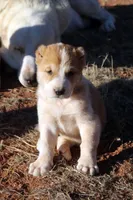 processed/0cead5de-3ba2-4245-b4ab-84300f790866/listing/45eef6b9-8a06-4640-9bbb-dfea70171834/41eaa2b0-69d9-406a-bb5d-f801775b8d70