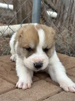 processed/0cead5de-3ba2-4245-b4ab-84300f790866/listing/45eef6b9-8a06-4640-9bbb-dfea70171834/dcbdfc68-9e30-40c7-991a-5d1f28d1d8ba