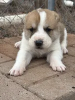 processed/0cead5de-3ba2-4245-b4ab-84300f790866/listing/45eef6b9-8a06-4640-9bbb-dfea70171834/e218a5d0-bfb0-47dc-a664-187101fc614b