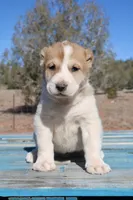 processed/0cead5de-3ba2-4245-b4ab-84300f790866/listing/45eef6b9-8a06-4640-9bbb-dfea70171834/f1d8b3af-2f42-4fd5-992b-8b51b4525a7c