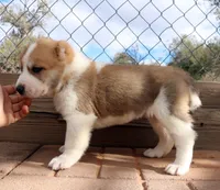 processed/0cead5de-3ba2-4245-b4ab-84300f790866/listing/45eef6b9-8a06-4640-9bbb-dfea70171834/ff54ce23-2ecb-436f-84d5-4ba6bb2d72bb