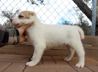 processed/0cead5de-3ba2-4245-b4ab-84300f790866/listing/70928d21-d5e6-47c8-a100-82745dea6b70/134260de-3d43-454f-8ddf-9d4a9ab3cc67