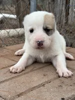 processed/0cead5de-3ba2-4245-b4ab-84300f790866/listing/70928d21-d5e6-47c8-a100-82745dea6b70/161d8605-63d7-49b3-9e43-f4c81966666d