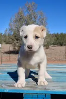 processed/0cead5de-3ba2-4245-b4ab-84300f790866/listing/70928d21-d5e6-47c8-a100-82745dea6b70/2a61a177-374d-44ff-8715-53d7d934775b