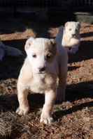 processed/0cead5de-3ba2-4245-b4ab-84300f790866/listing/70928d21-d5e6-47c8-a100-82745dea6b70/2ab495af-1f21-4903-aa84-8bce773d6927