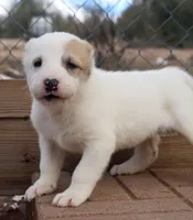 processed/0cead5de-3ba2-4245-b4ab-84300f790866/listing/70928d21-d5e6-47c8-a100-82745dea6b70/33b21839-eac8-4b87-b1ce-cbfe86874056