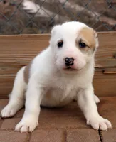 processed/0cead5de-3ba2-4245-b4ab-84300f790866/listing/70928d21-d5e6-47c8-a100-82745dea6b70/3476da48-bd23-4acc-bb3f-f8603ed03aed