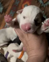 processed/0cead5de-3ba2-4245-b4ab-84300f790866/listing/70928d21-d5e6-47c8-a100-82745dea6b70/c8d824cc-d68b-4784-824d-64d2a04ab0be