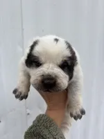 processed/0cead5de-3ba2-4245-b4ab-84300f790866/listing/921367be-3430-427d-ace2-ca8646d0ea12/08bbb366-0d4c-41db-810d-1213c4d45f8f