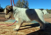 processed/0cead5de-3ba2-4245-b4ab-84300f790866/listing/921367be-3430-427d-ace2-ca8646d0ea12/313ed730-71e2-490e-9aa2-be61a7d603c0