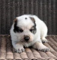 processed/0cead5de-3ba2-4245-b4ab-84300f790866/listing/921367be-3430-427d-ace2-ca8646d0ea12/815fe540-6a2e-458d-b5f4-fd10e37667d3