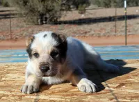 processed/0cead5de-3ba2-4245-b4ab-84300f790866/listing/921367be-3430-427d-ace2-ca8646d0ea12/af7257cd-fce6-4f16-b046-664623acbbbc