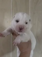 processed/0cead5de-3ba2-4245-b4ab-84300f790866/listing/a87e093f-51ee-41fc-9b85-a224de2654b2/b08566ab-4df3-4d14-b68b-40463a898dd9