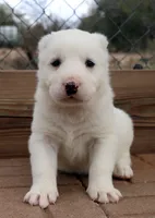 processed/0cead5de-3ba2-4245-b4ab-84300f790866/listing/a87e093f-51ee-41fc-9b85-a224de2654b2/fd7036c0-521b-4eea-933b-96fdcf0b83ab