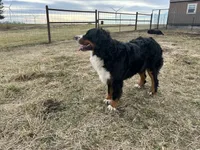 processed/0ced6a2b-9286-49fd-acc3-29380c5c62ee/facility/39ce8fb4-6a2b-4a57-aa2f-c325193fd0fa