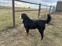 processed/0ced6a2b-9286-49fd-acc3-29380c5c62ee/facility/5211a4b7-2e0f-4e79-bf51-515655bedba0