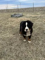 processed/0ced6a2b-9286-49fd-acc3-29380c5c62ee/facility/560685fe-7b21-4d30-a8e7-2fa16c00e397