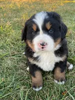 processed/0ced6a2b-9286-49fd-acc3-29380c5c62ee/facility/567b8b32-626a-4ab2-b4b5-7fe20723b04c