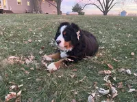 processed/0ced6a2b-9286-49fd-acc3-29380c5c62ee/facility/6e2aa73a-f721-4272-a1b4-7e3dbe37844f