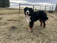 processed/0ced6a2b-9286-49fd-acc3-29380c5c62ee/facility/dc1fec95-53a9-4032-9fd2-2a125519213e