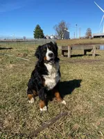 processed/0ced6a2b-9286-49fd-acc3-29380c5c62ee/facility/e9049fcc-85dd-4bbf-b5d7-5479943a01d9