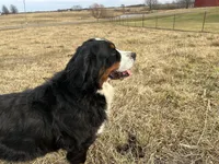 processed/0ced6a2b-9286-49fd-acc3-29380c5c62ee/facility/ee0159ad-e70f-42f9-a6fb-b90e4f85ad8b