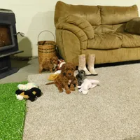 processed/0cf12a65-a843-47e8-b40d-289b3d0e626e/facility/60d4b09d-5d14-4a8f-bbd5-469eda4ce734