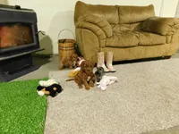 processed/0cf12a65-a843-47e8-b40d-289b3d0e626e/facility/60d4b09d-5d14-4a8f-bbd5-469eda4ce734