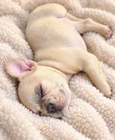 Lilac/Cocoa Fawn Merle DNA confirmed - collar baby pink, a female French Bulldog for sale in Millville, MN – 2 of 9