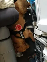 processed/0cfd2435-d34a-47a0-ae61-555ff0dd614d/facility/0bc4a368-9931-4948-94e2-15e2a815a486