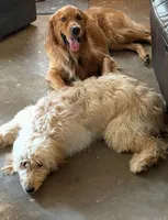 processed/0cfd2435-d34a-47a0-ae61-555ff0dd614d/facility/3e5d447a-f3e3-4c27-8414-551858ecbdbb