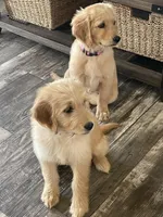 processed/0cfd2435-d34a-47a0-ae61-555ff0dd614d/facility/51591c3d-f22b-4079-a8af-9c6386413d9c