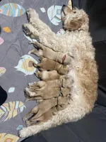 processed/0cfd2435-d34a-47a0-ae61-555ff0dd614d/facility/66d175cb-c7c5-4009-a869-4c3e4826f9d0