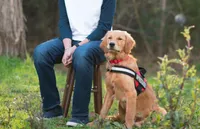 processed/0cfd2435-d34a-47a0-ae61-555ff0dd614d/facility/85ab4075-4051-44af-9fc5-ab6dd1e60cc5