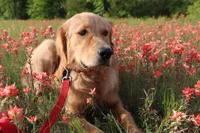 processed/0cfd2435-d34a-47a0-ae61-555ff0dd614d/facility/cefdd40a-45d8-4d86-a3d4-a96ebbc0643a