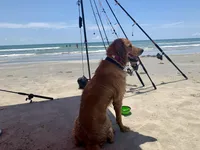 processed/0cfd2435-d34a-47a0-ae61-555ff0dd614d/facility/fa181d96-88c3-4d13-9c4f-85bcb2a2fb9a