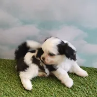 processed/0cff057d-a6a8-4398-91fb-dba72199ff8e/listing/e51c5353-4386-4335-8f27-b78f775dbbab/c1da47fd-27c6-4211-8880-d6651b2e7afb