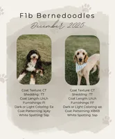 processed/0d008395-564e-4018-9904-dc9b890faaef/listing/559a67c7-f7c5-432d-86cd-4365917e4c3d/10a9462d-6acd-4fd4-8bce-5e619aec8b0a